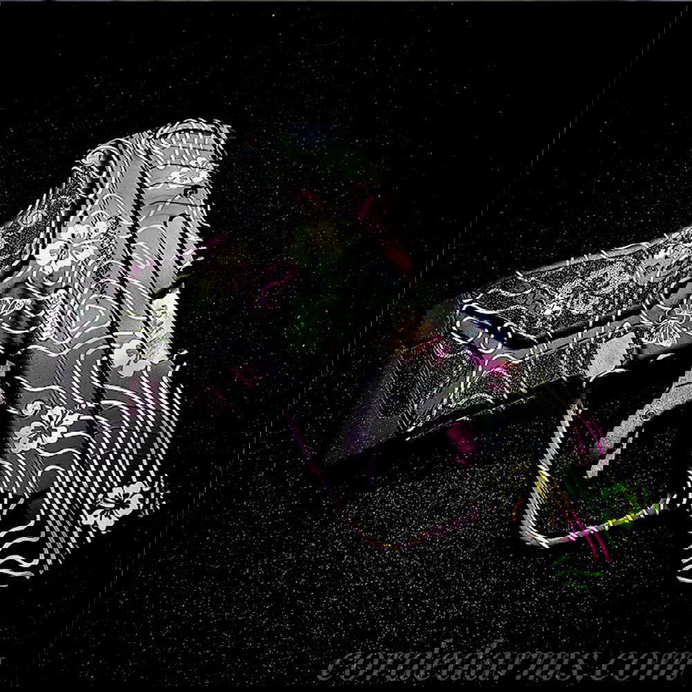 Custom Ruger LCPII Aloha Snack Bar