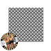 Dragon Scale Laser Etched SIG SAUER P365 GRIP MODULE 